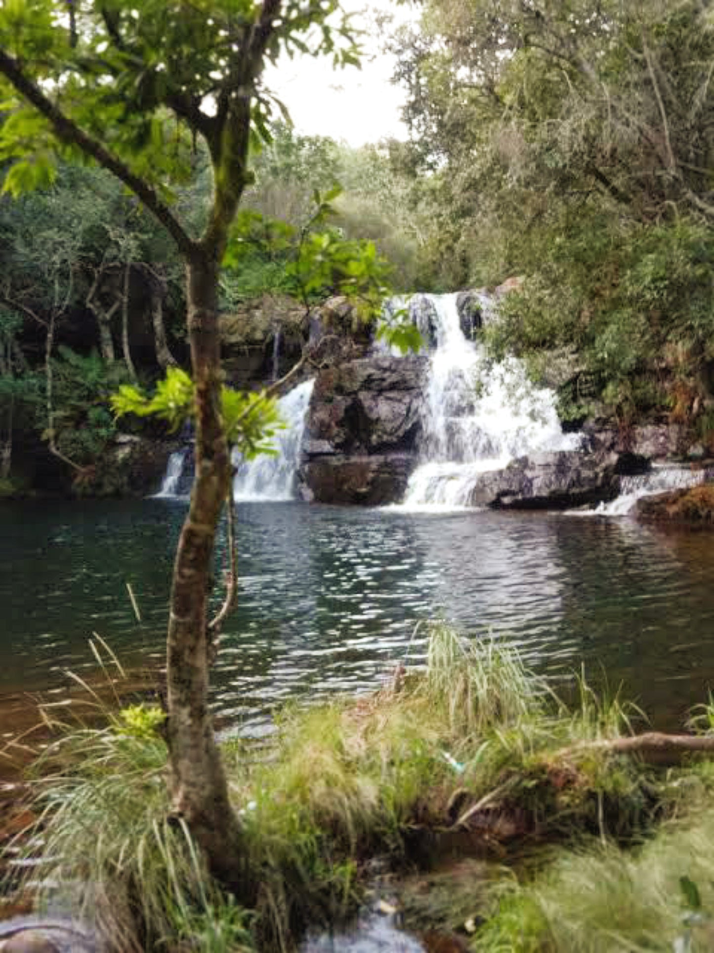 Thee Venda Xperience